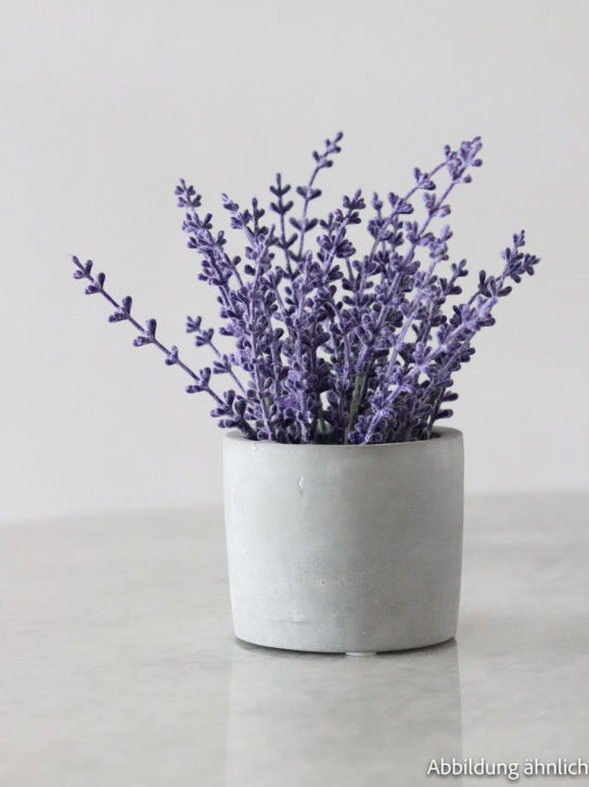 Lavendelstrauß - Lavendelbund extra blau