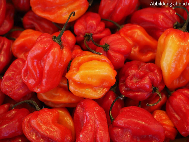 Chilli Habanero (gemahlen)