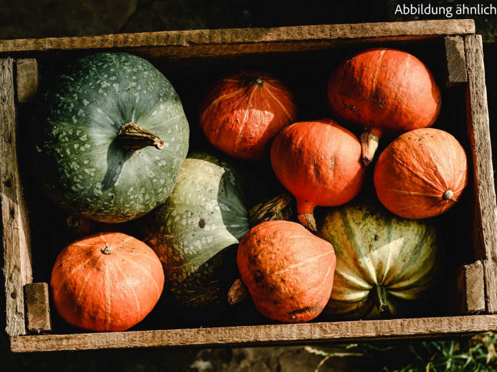 Zucchini & Pumpkin (spice preparation)