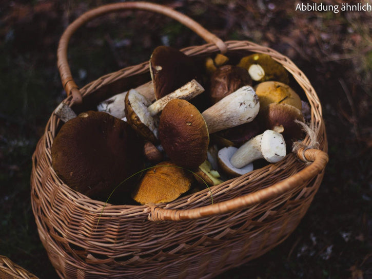 Pilz (Gewürzmischung)