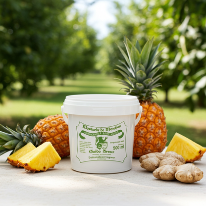 Ingwer-Ananas-Senf - 500 ml – Produktbild 4