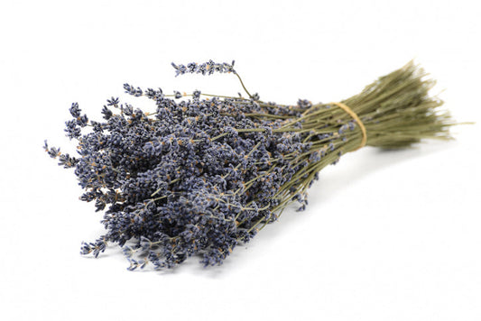 Lavendelstrauß - Lavendelbund extra blau