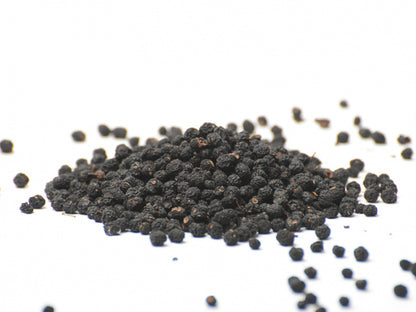 Tasmanischer Pfeffer