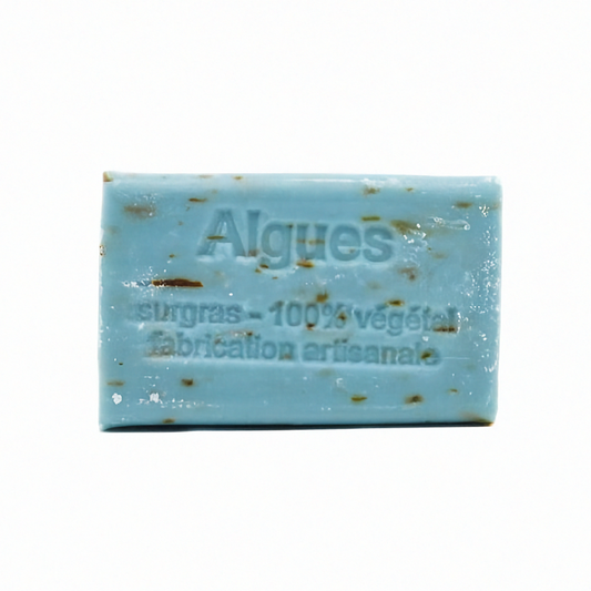 Algenseife aus Frankreich als Hauptbild auf hellem Hintergrund
