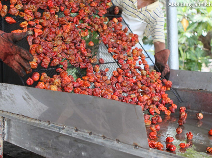 Chilli Habanero (gemahlen)