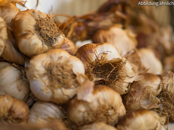 Geräucherter Knoblauch (Zopf)