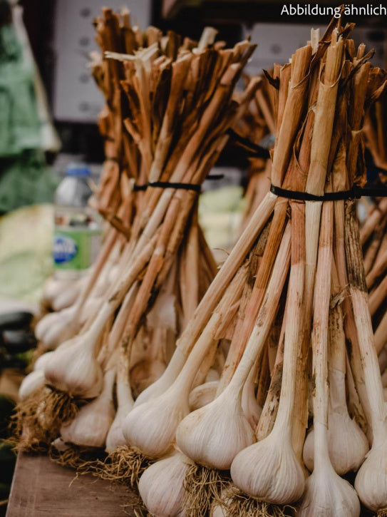 Knoblauch gemahlen - Knoblauchpulver