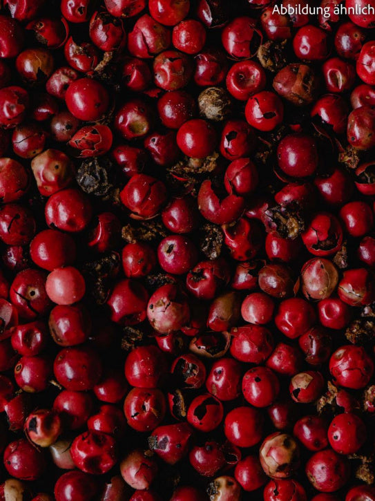 Rosa Beeren ganz (Schinus Trerebinthilifolius)