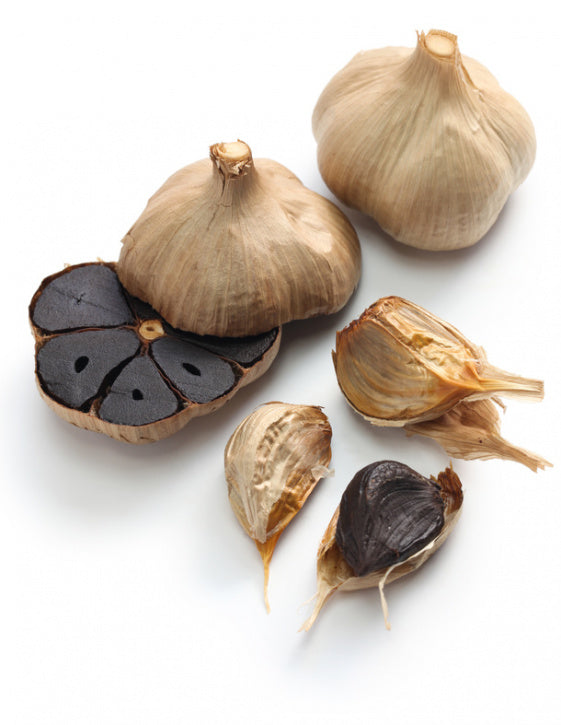 Schwarzer fermentierter Knoblauch aus Spanien